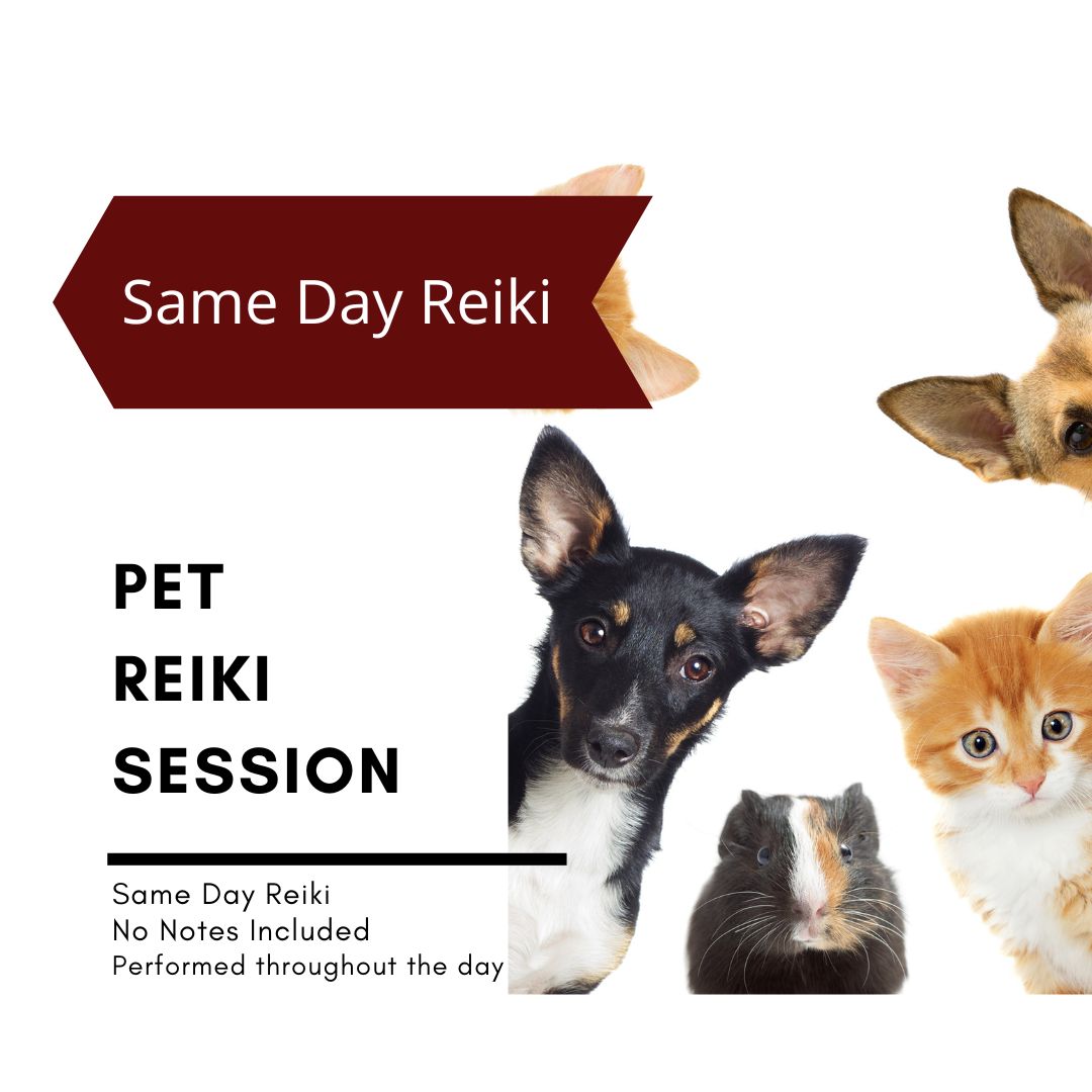 10 Minute Reiki Distance Healing for Pets